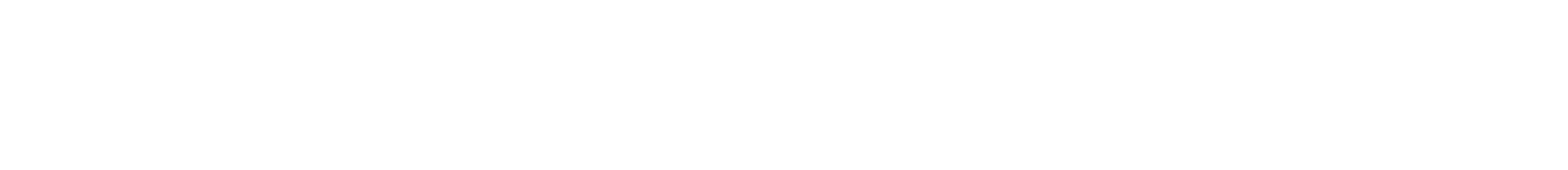 Full Potential IT llc Logo